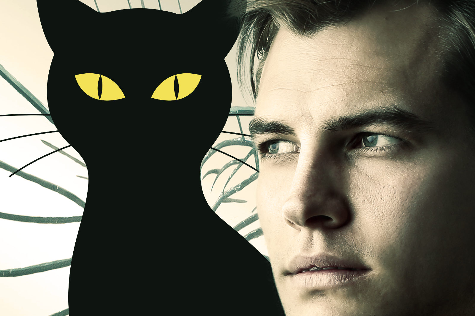 cropped-CoverZerbrochene-Spiegel-und-schwarze-Katzen-4.jpg